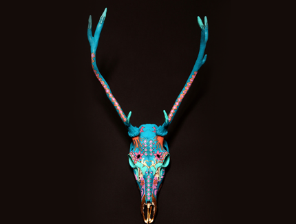 Lauren Baker's Deer Skulls