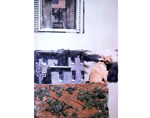 Robert Rauschenberg